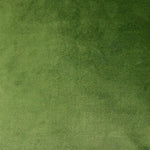 Load image into Gallery viewer, McAlister Textiles Matt Fern Green Velvet Fabric Fabrics