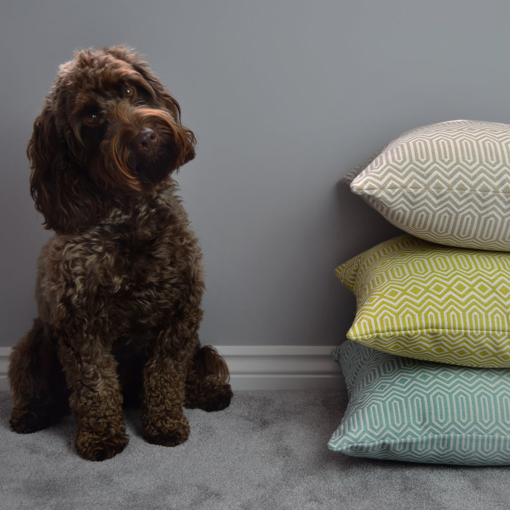 Fabulous Floor Cushions from McAlister Textiles