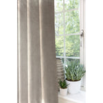 Load image into Gallery viewer, McAlister Textiles Matt Beige Mink Velvet Curtains Curtains &amp; Drapes 
