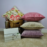 Load image into Gallery viewer, McAlister Textiles Matt Champagne Gold Contrast Piped Velvet Cushion Cushions and Covers 
