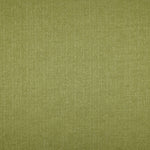 Load image into Gallery viewer, McAlister Textiles Eternity Sage Green Chenille Fabric Fabrics 
